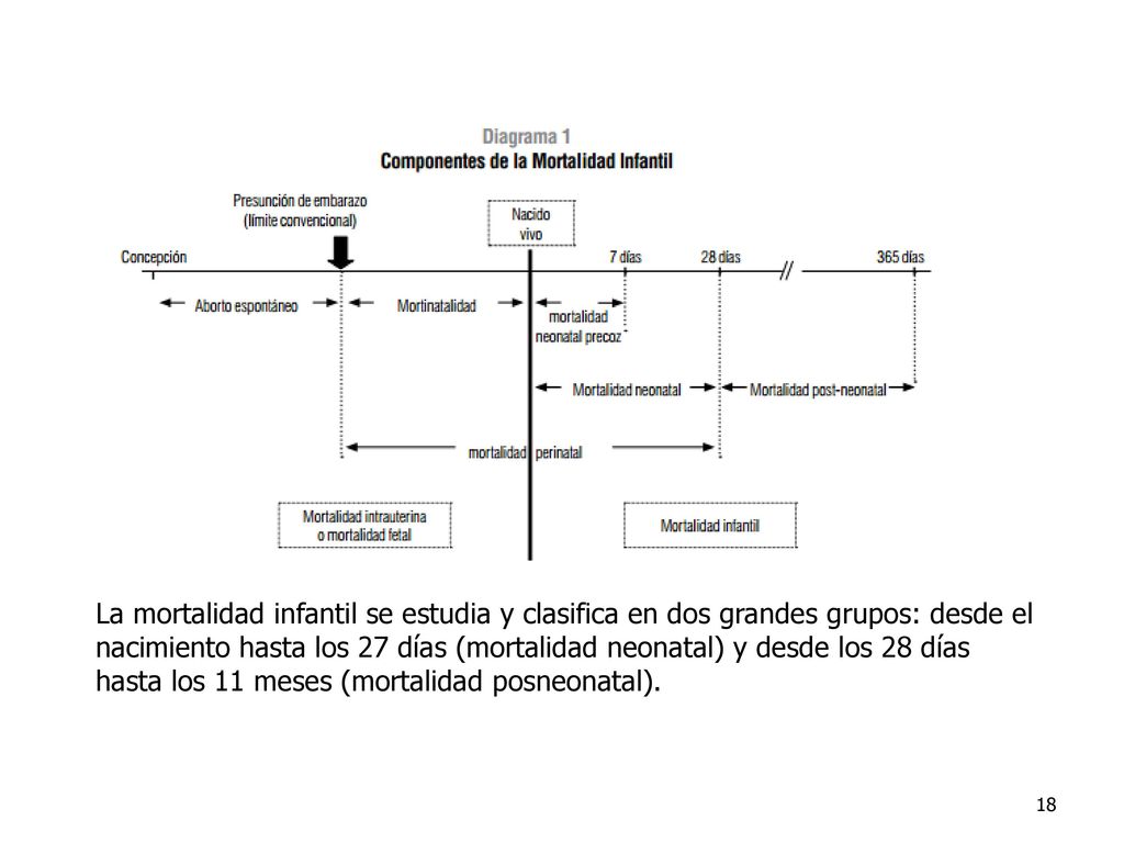 La mortalidad infantil se estudia y clasifica en dos grandes grupos: desde el nacimiento hasta los 27 días (mortalidad neonatal) y desde los 28 días