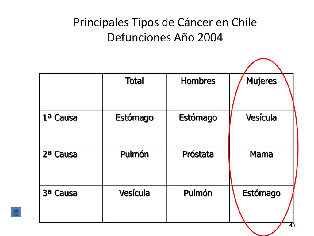Principales Tipos de Cáncer en Chile Defunciones Año 2004