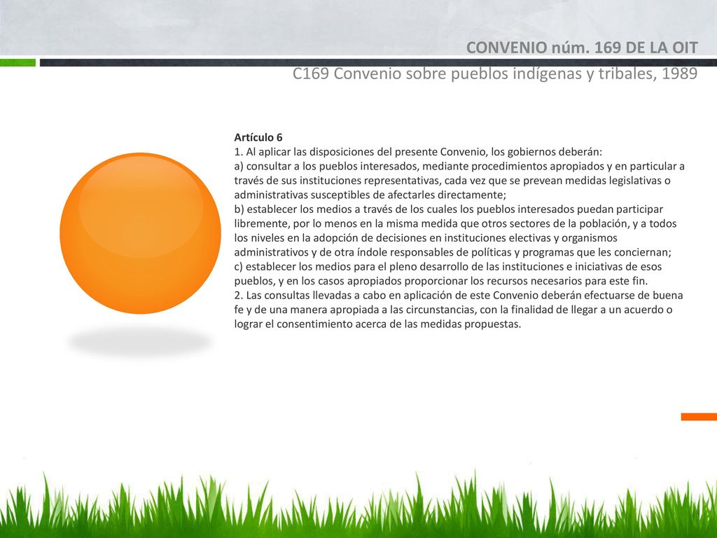 CONVENIO núm. 169 DE LA OIT C169 Convenio sobre pueblos indígenas y tribales, Artículo 6.