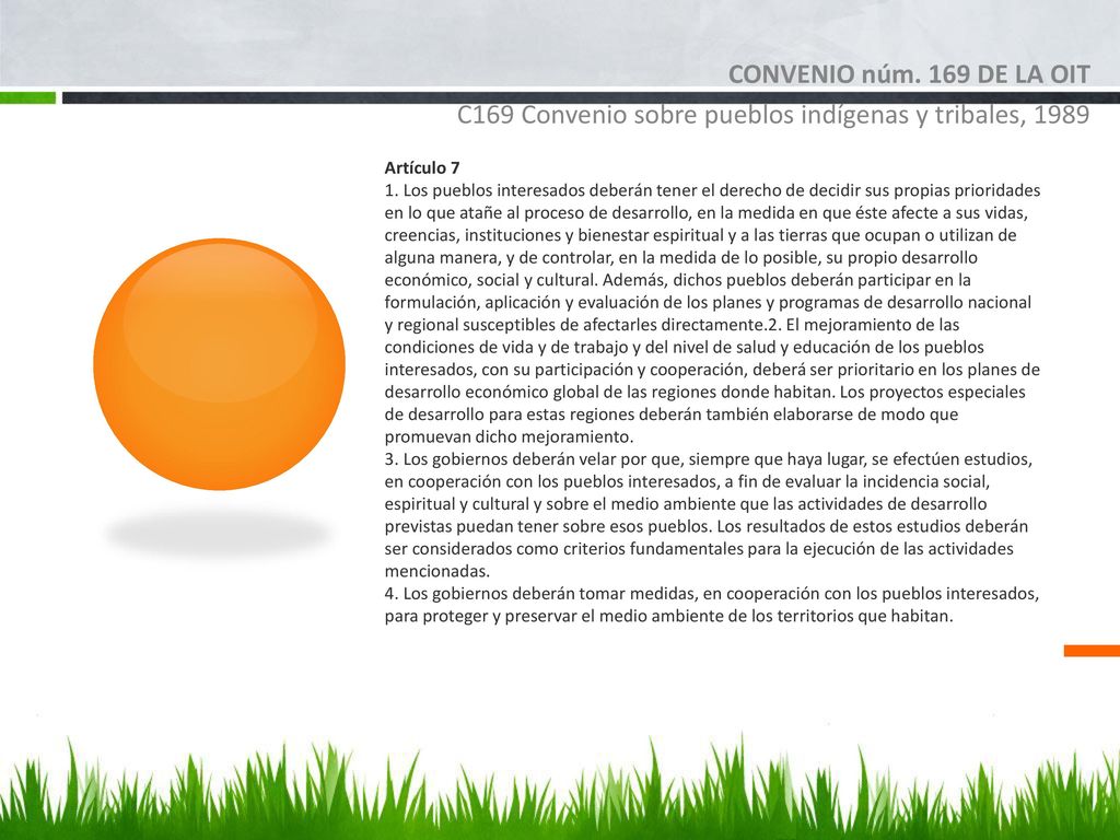 CONVENIO núm. 169 DE LA OIT C169 Convenio sobre pueblos indígenas y tribales, Artículo 7.