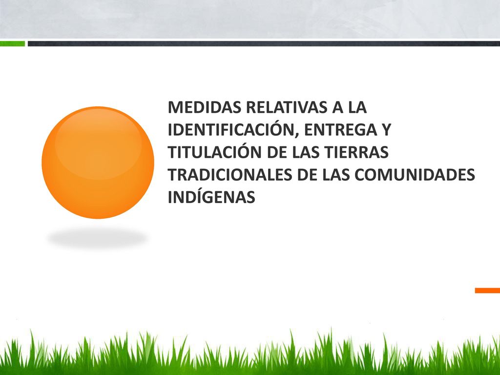 Medidas relativas a la identificación, entrega y titulación de las tierras tradicionales de las comunidades indígenas