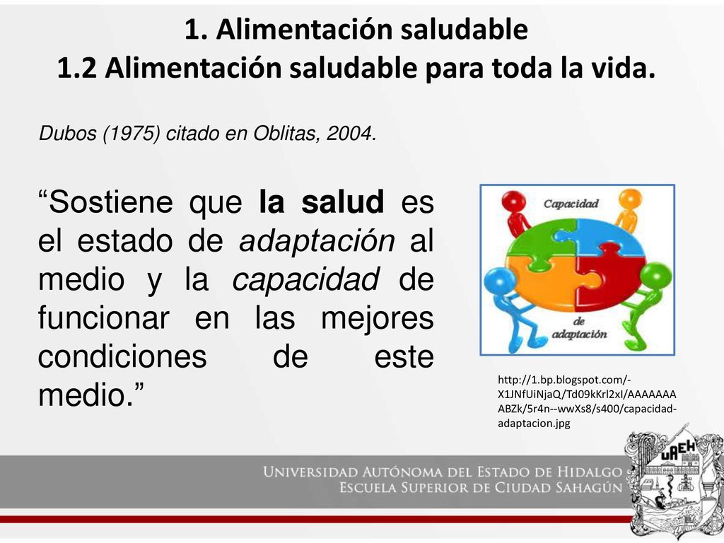 1. Alimentación saludable 1.2 Alimentación saludable para toda la vida.