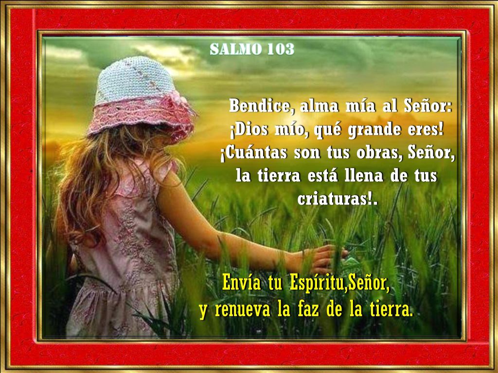Envía tu Espíritu,Señor, y renueva la faz de la tierra.