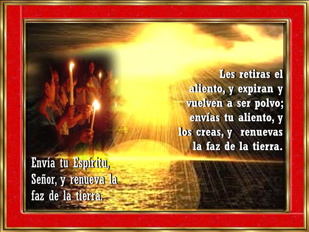 Envía tu Espíritu, Señor, y renueva la faz de la tierra.