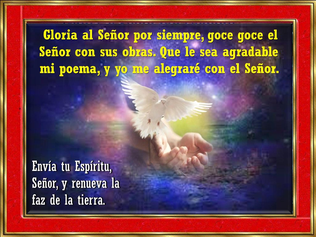 Envía tu Espíritu, Señor, y renueva la faz de la tierra.