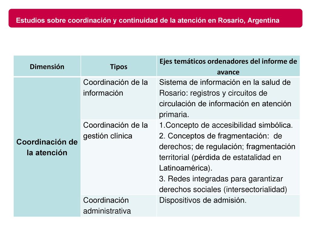 Ejes temáticos ordenadores del informe de avance