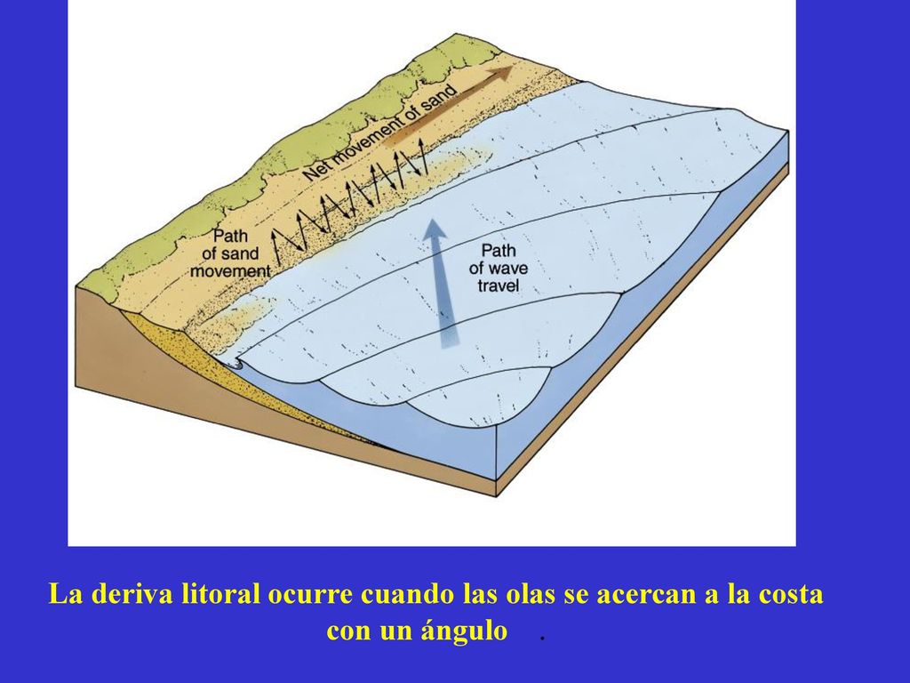 La deriva litoral ocurre cuando las olas se acercan a la costa con un ángulo .
