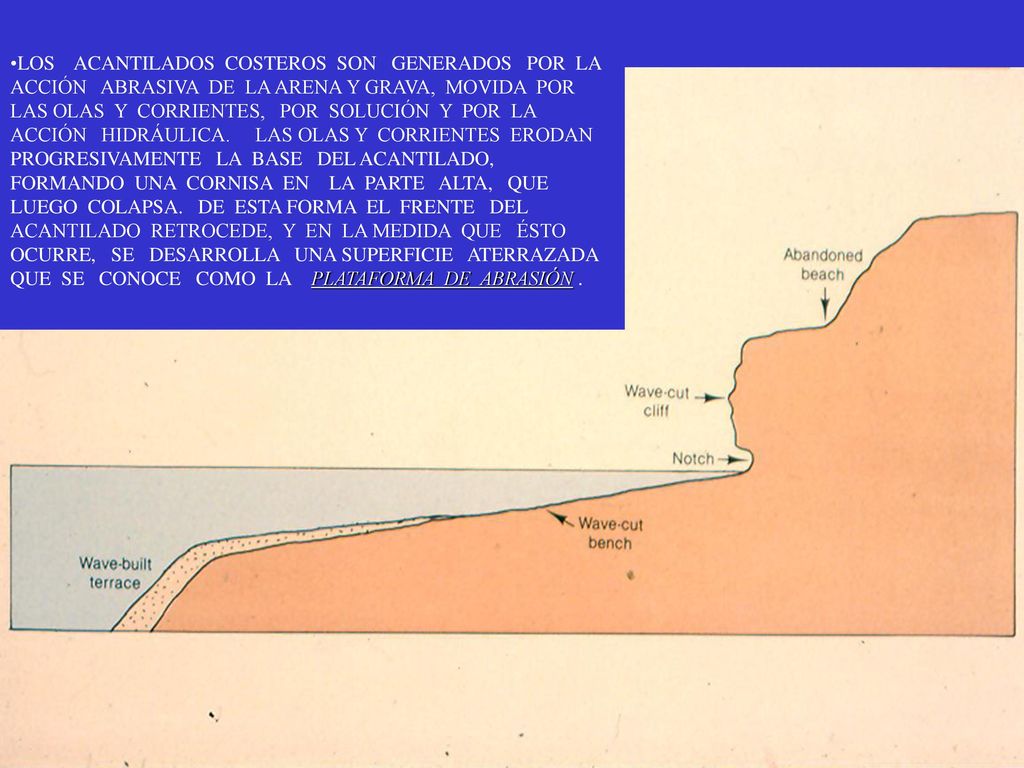 LOS ACANTILADOS COSTEROS SON GENERADOS POR LA ACCIÓN ABRASIVA DE LA ARENA Y GRAVA, MOVIDA POR LAS OLAS Y CORRIENTES, POR SOLUCIÓN Y POR LA ACCIÓN HIDRÁULICA.