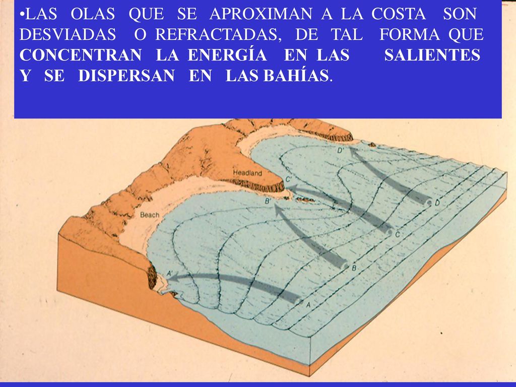 LAS OLAS QUE SE APROXIMAN A LA COSTA SON DESVIADAS O REFRACTADAS, DE TAL FORMA QUE CONCENTRAN LA ENERGÍA EN LAS SALIENTES Y SE DISPERSAN EN LAS BAHÍAS.