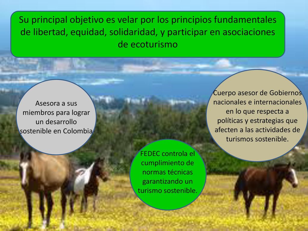 Su principal objetivo es velar por los principios fundamentales de libertad, equidad, solidaridad, y participar en asociaciones de ecoturismo