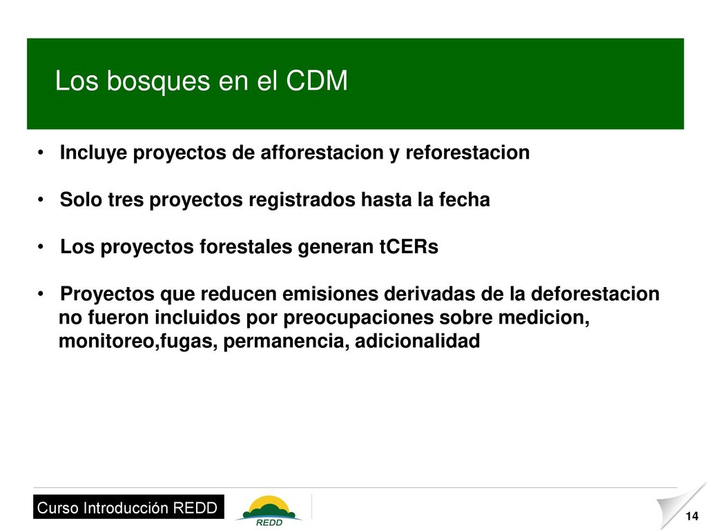 Los bosques en el CDM Incluye proyectos de afforestacion y reforestacion. Solo tres proyectos registrados hasta la fecha.