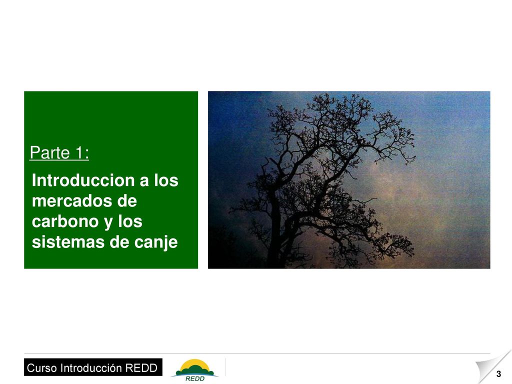 Parte 1: Introduccion a los mercados de carbono y los sistemas de canje