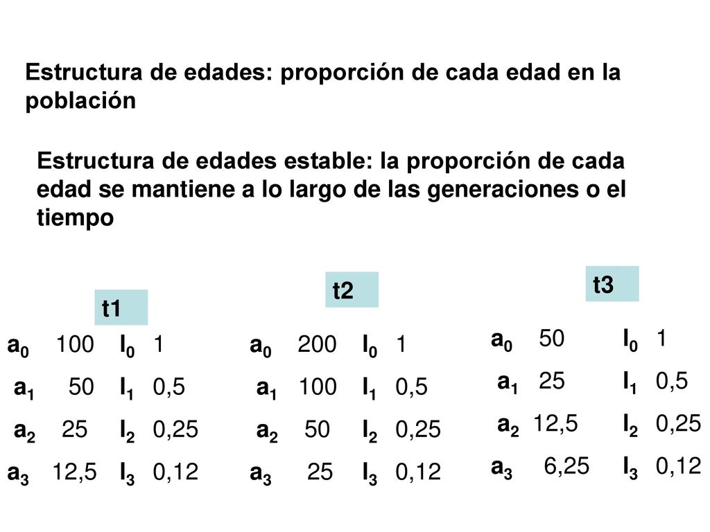 Estructura de edades: proporción de cada edad en la población