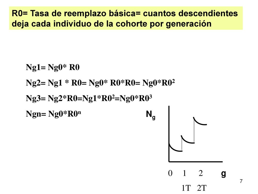 R0= Tasa de reemplazo básica= cuantos descendientes deja cada individuo de la cohorte por generación