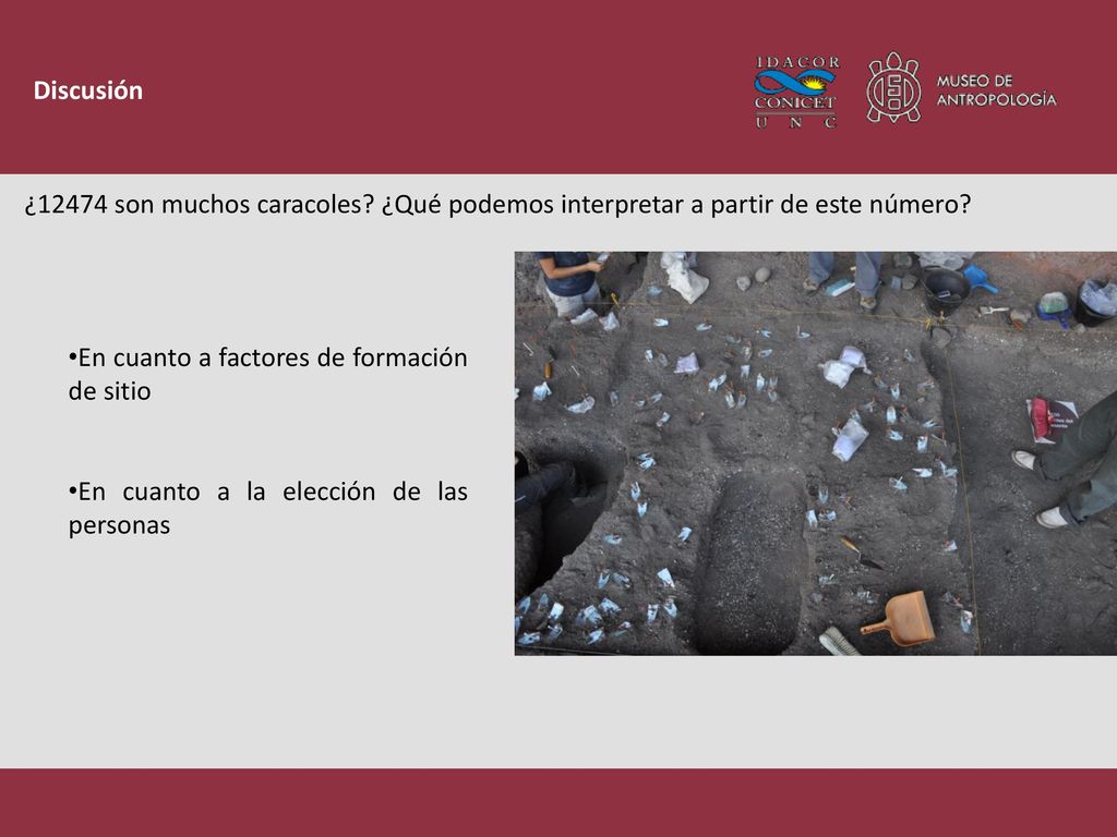 Discusión ¿12474 son muchos caracoles ¿Qué podemos interpretar a partir de este número En cuanto a factores de formación de sitio.