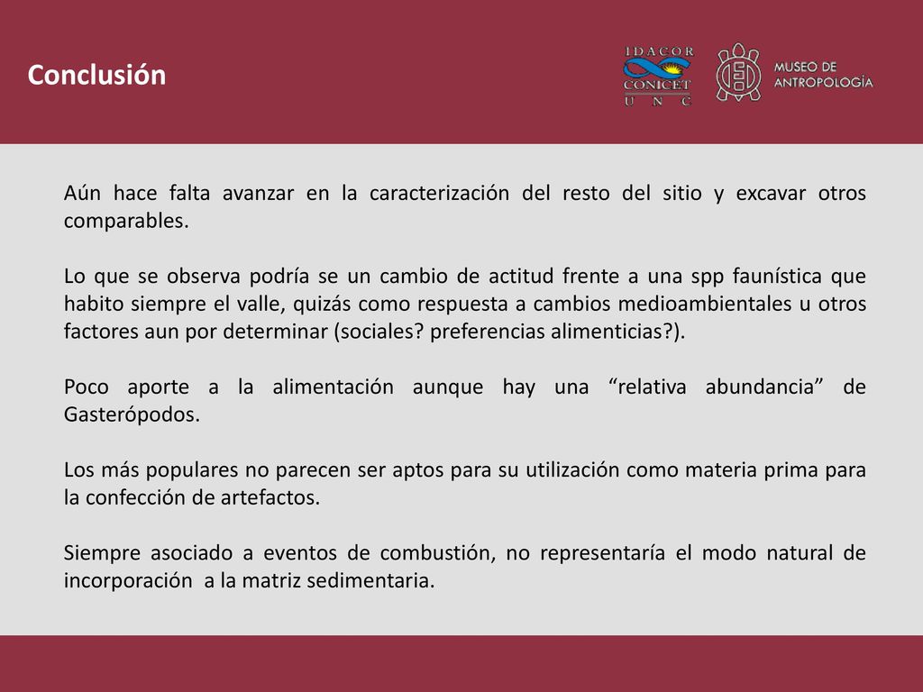 Conclusión Aún hace falta avanzar en la caracterización del resto del sitio y excavar otros comparables.