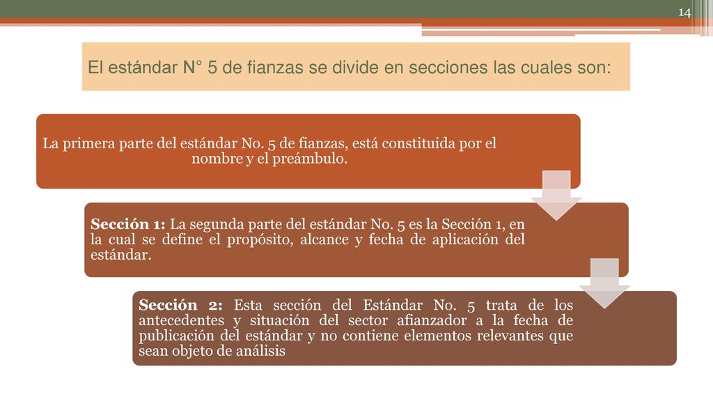 El estándar N° 5 de fianzas se divide en secciones las cuales son: