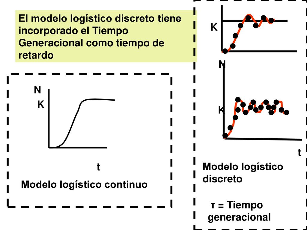 El modelo logístico discreto tiene incorporado el Tiempo Generacional como tiempo de retardo