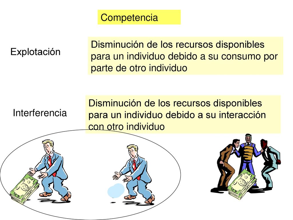 Competencia Disminución de los recursos disponibles para un individuo debido a su consumo por parte de otro individuo.