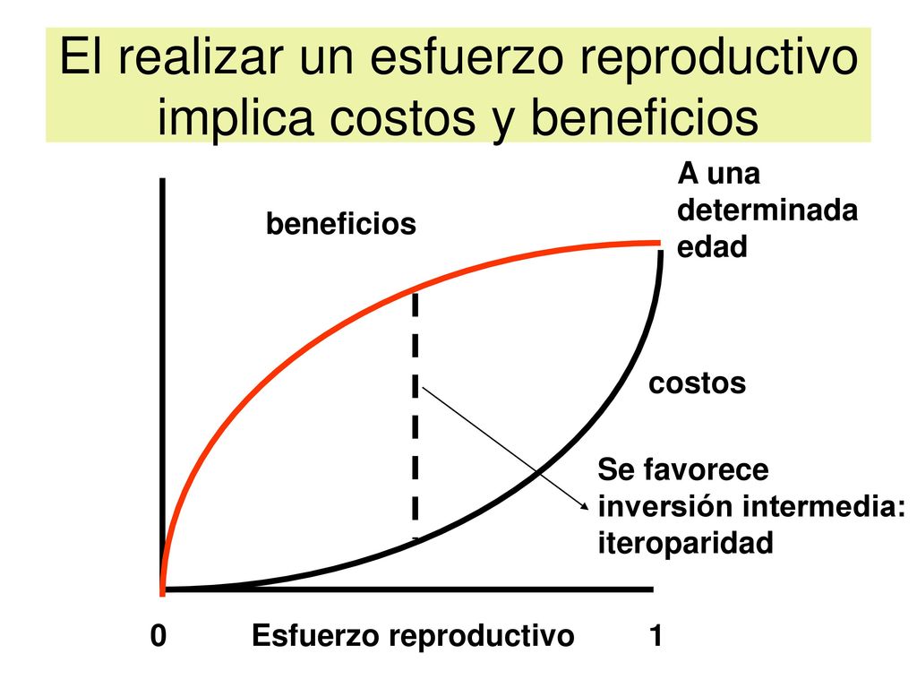El realizar un esfuerzo reproductivo implica costos y beneficios