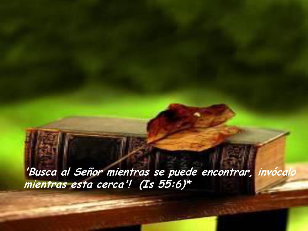 Busca al Señor mientras se puede encontrar, invócalo mientras esta cerca ! (Is 55:6)*