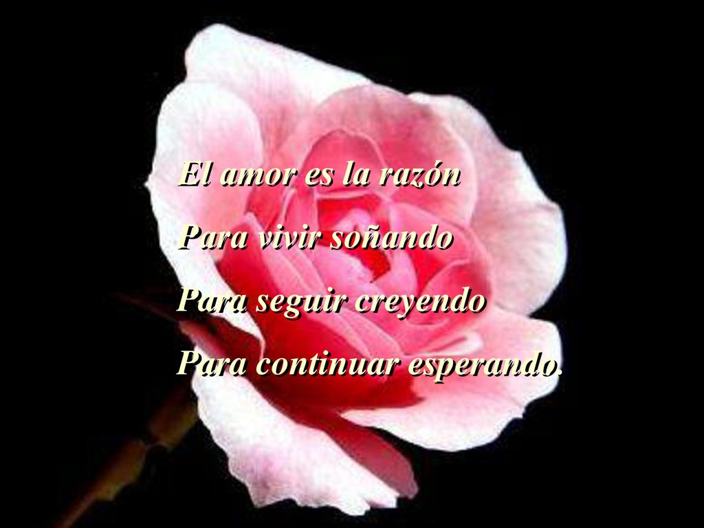 El amor es la razón Para vivir soñando Para seguir creyendo Para continuar esperando.
