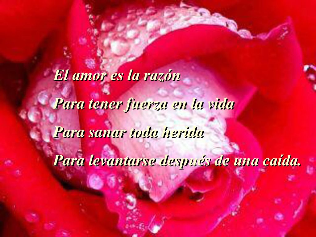 El amor es la razón Para tener fuerza en la vida. Para sanar toda herida.