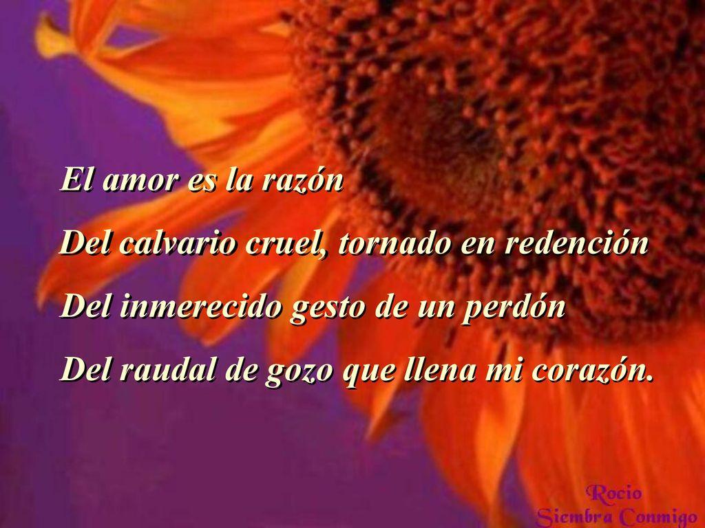 El amor es la razón Del calvario cruel, tornado en redención.