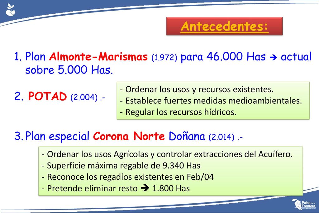 Antecedentes: Plan Almonte-Marismas (1.972) para Has  actual sobre Has. POTAD (2.004) .-