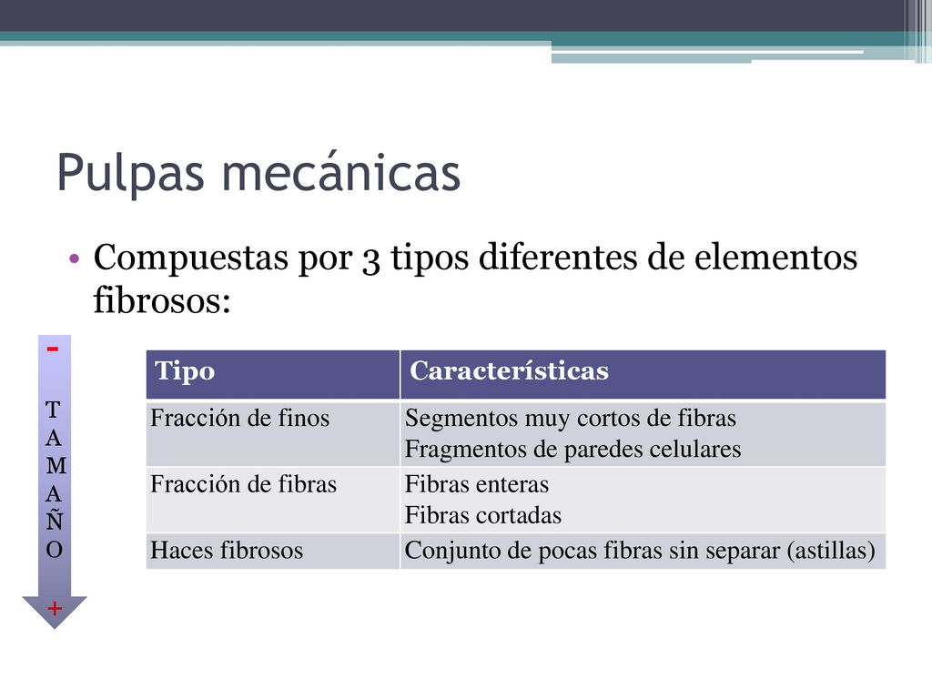 Pulpas mecánicas Compuestas por 3 tipos diferentes de elementos fibrosos: - T. A. M. Ñ. O. +