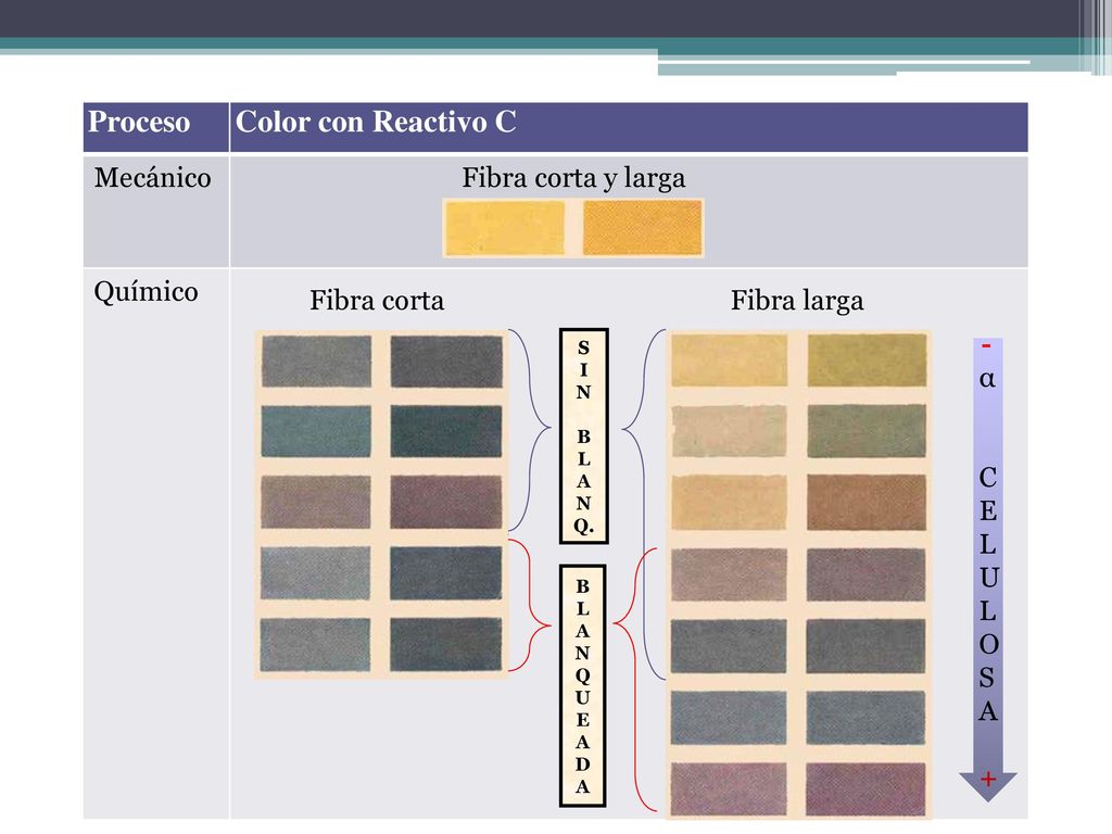 Proceso Color con Reactivo C Mecánico Químico Fibra corta y larga