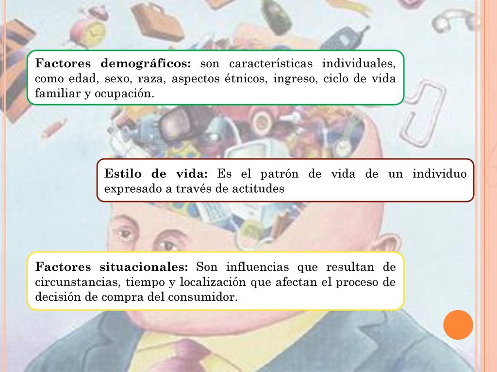 Factores demográficos: son características individuales, como edad, sexo, raza, aspectos étnicos, ingreso, ciclo de vida familiar y ocupación.
