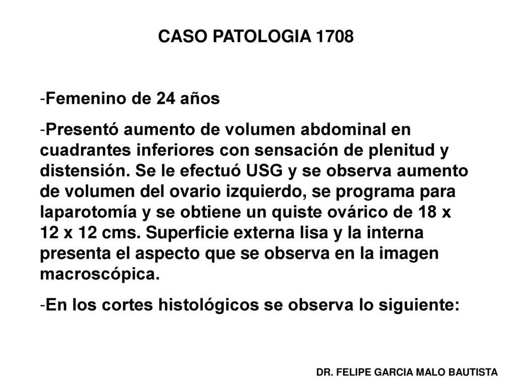En los cortes histológicos se observa lo siguiente: