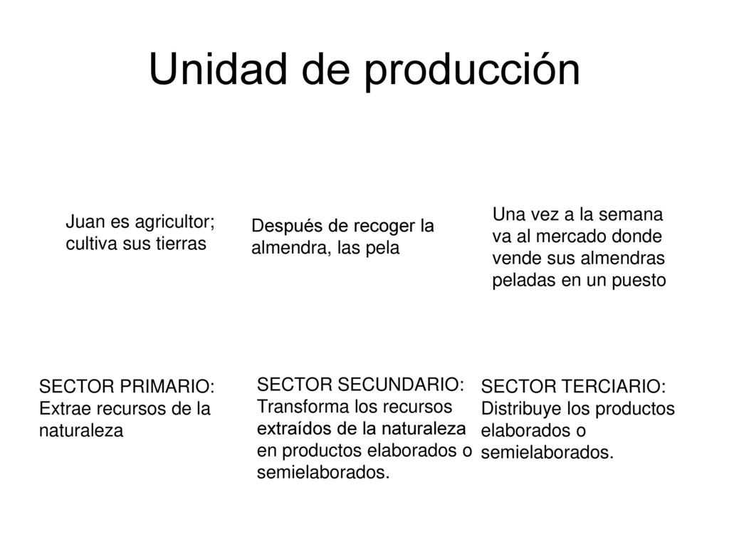 Unidad de producción Una vez a la semana va al mercado donde vende sus almendras peladas en un puesto.