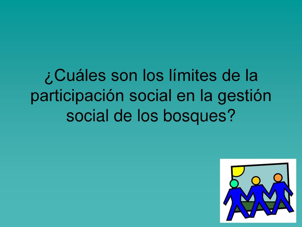 ¿Cuáles son los límites de la participación social en la gestión social de los bosques