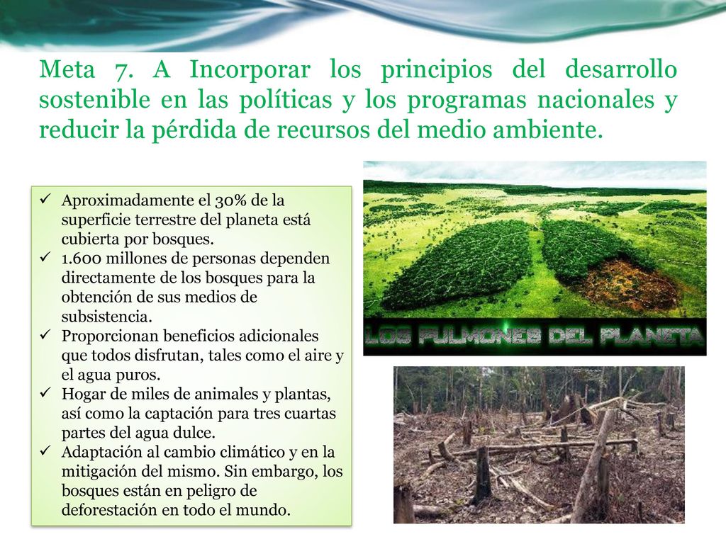 Meta 7. A Incorporar los principios del desarrollo sostenible en las políticas y los programas nacionales y reducir la pérdida de recursos del medio ambiente.
