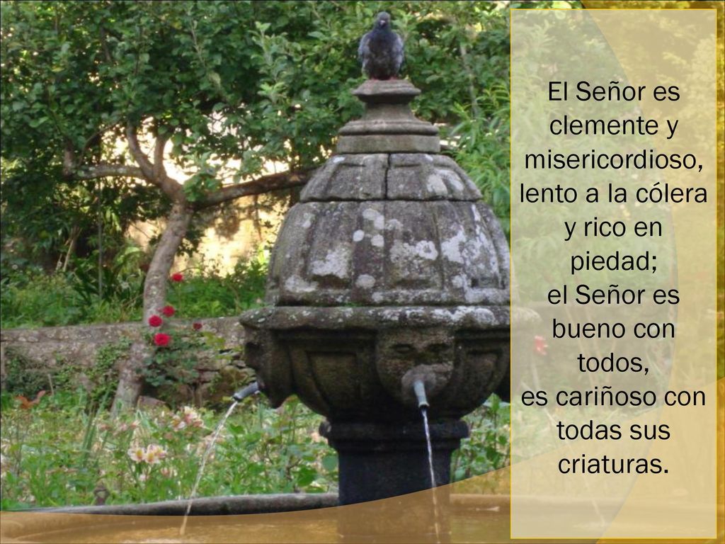 El Señor es clemente y misericordioso, lento a la cólera y rico en piedad; el Señor es bueno con todos, es cariñoso con todas sus criaturas.