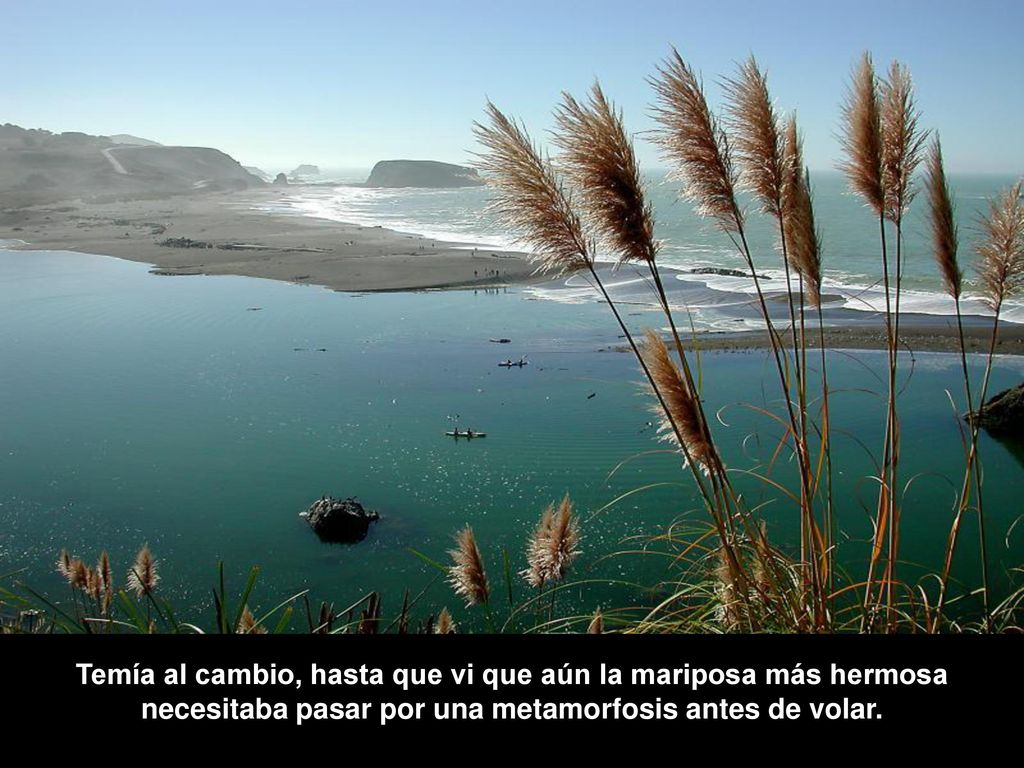 Temía al cambio, hasta que vi que aún la mariposa más hermosa necesitaba pasar por una metamorfosis antes de volar.