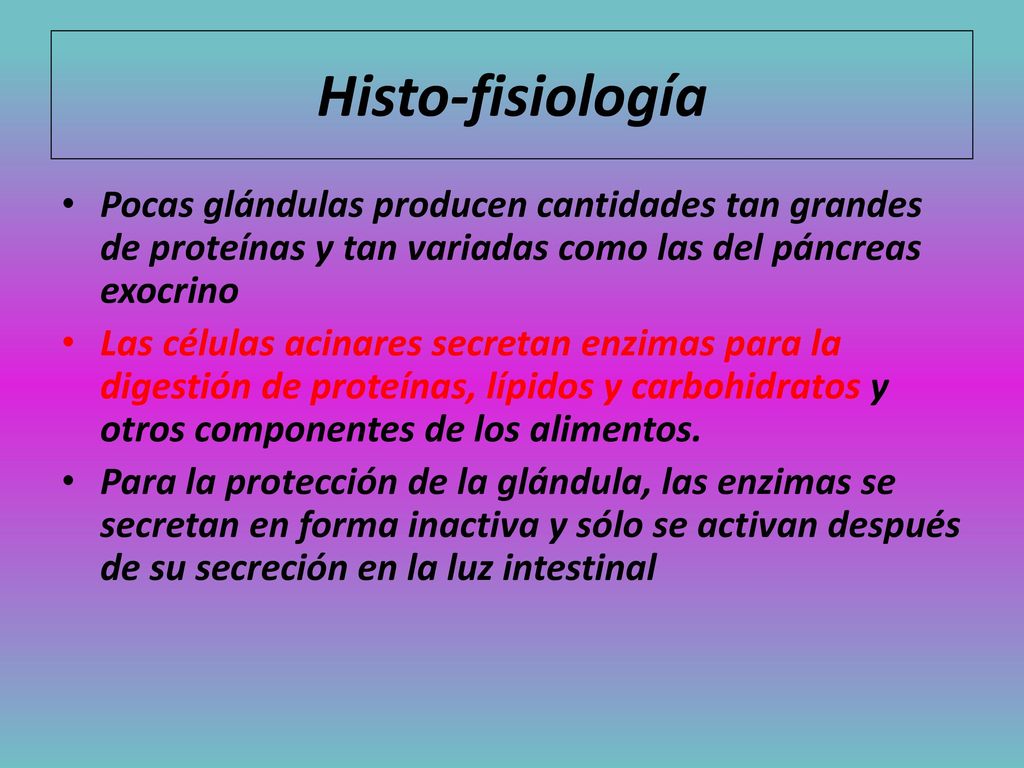 Histo-fisiología Pocas glándulas producen cantidades tan grandes de proteínas y tan variadas como las del páncreas exocrino.