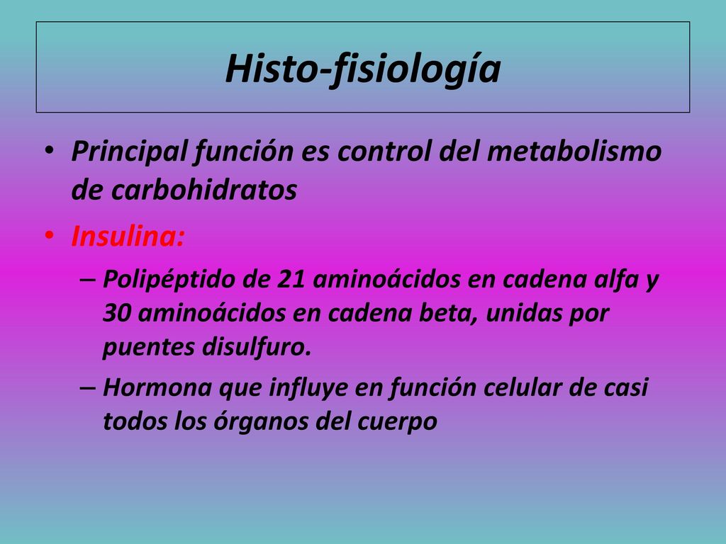 Histo-fisiología Principal función es control del metabolismo de carbohidratos. Insulina:
