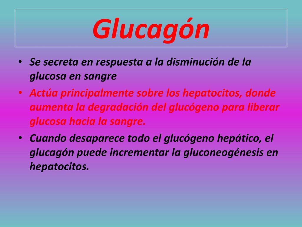 Glucagón Se secreta en respuesta a la disminución de la glucosa en sangre.