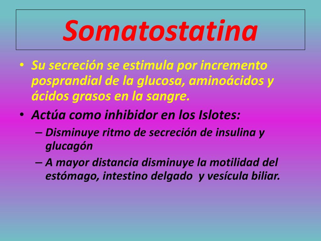 Somatostatina Su secreción se estimula por incremento posprandial de la glucosa, aminoácidos y ácidos grasos en la sangre.