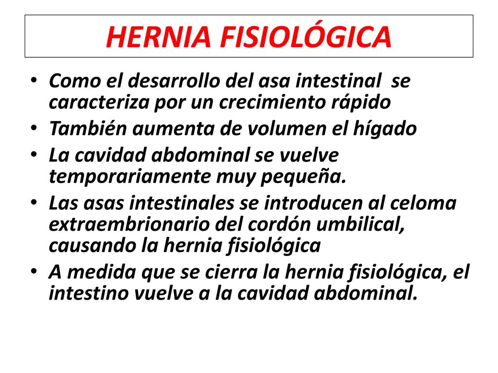 HERNIA FISIOLÓGICA Como el desarrollo del asa intestinal se caracteriza por un crecimiento rápido.