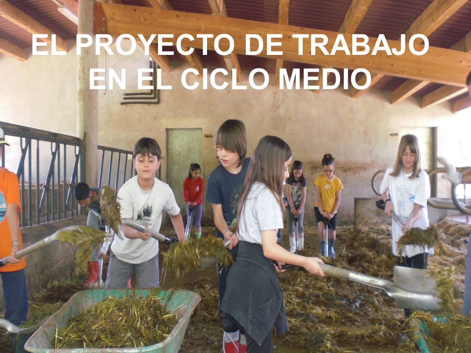 EL PROYECTO DE TRABAJO EN EL CICLO MEDIO