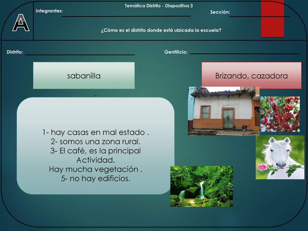 A sabanilla Brizando, cazadora - 1- hay casas en mal estado .