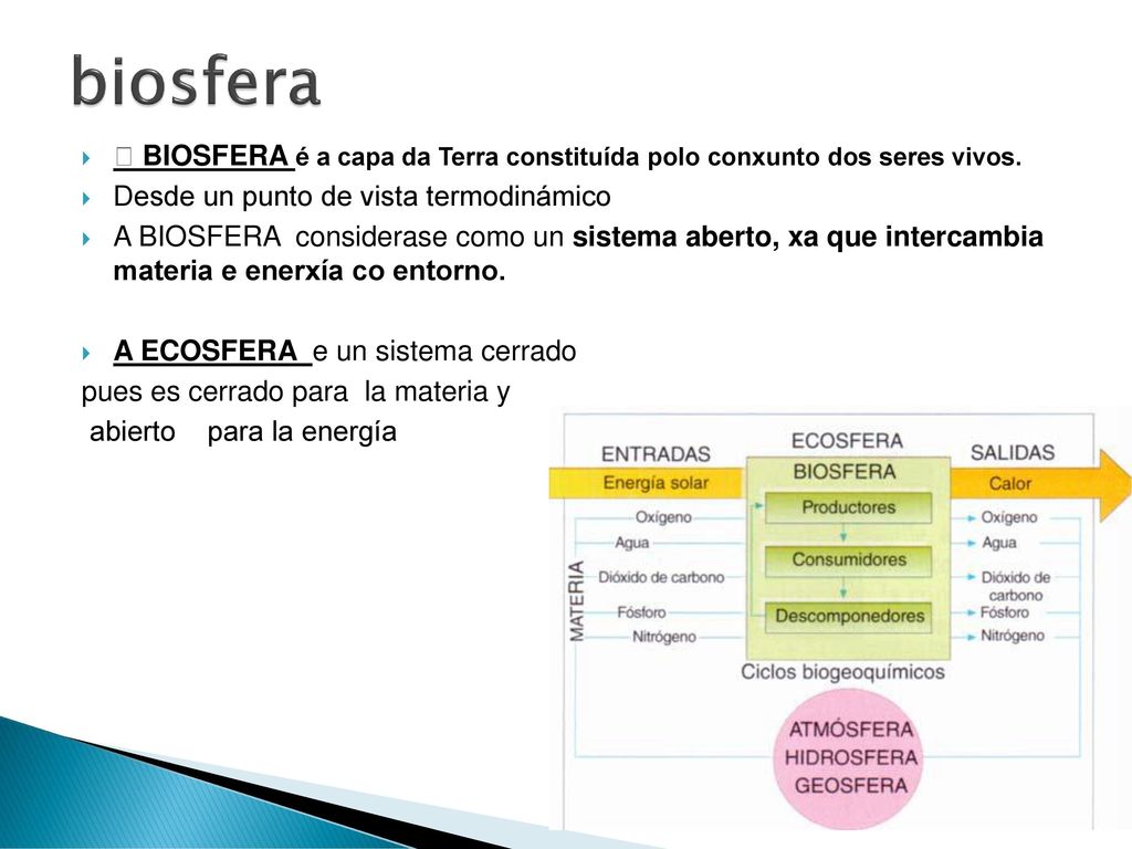 biosfera  BIOSFERA é a capa da Terra constituída polo conxunto dos seres vivos. Desde un punto de vista termodinámico.