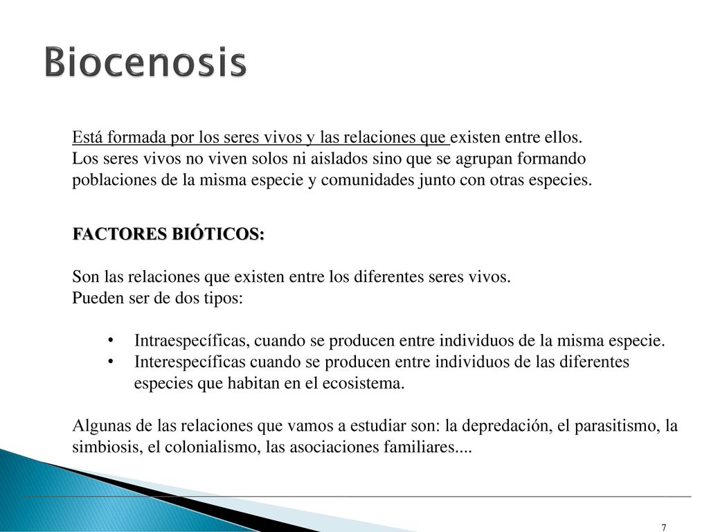 Biocenosis Está formada por los seres vivos y las relaciones que existen entre ellos.