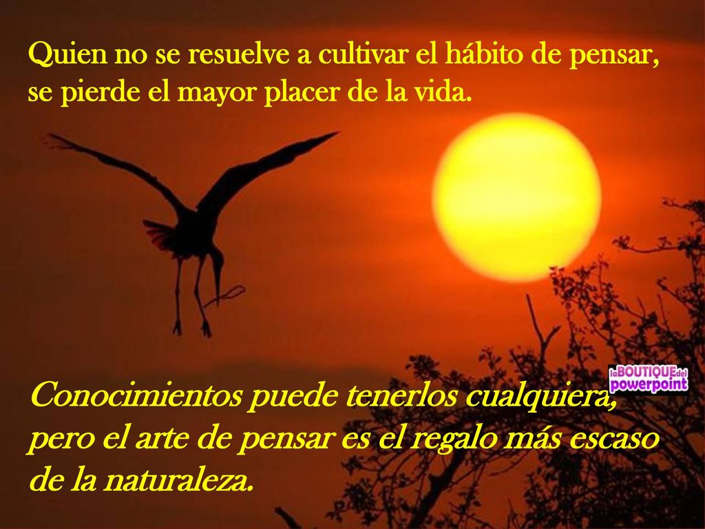 Quien no se resuelve a cultivar el hábito de pensar, se pierde el mayor placer de la vida.