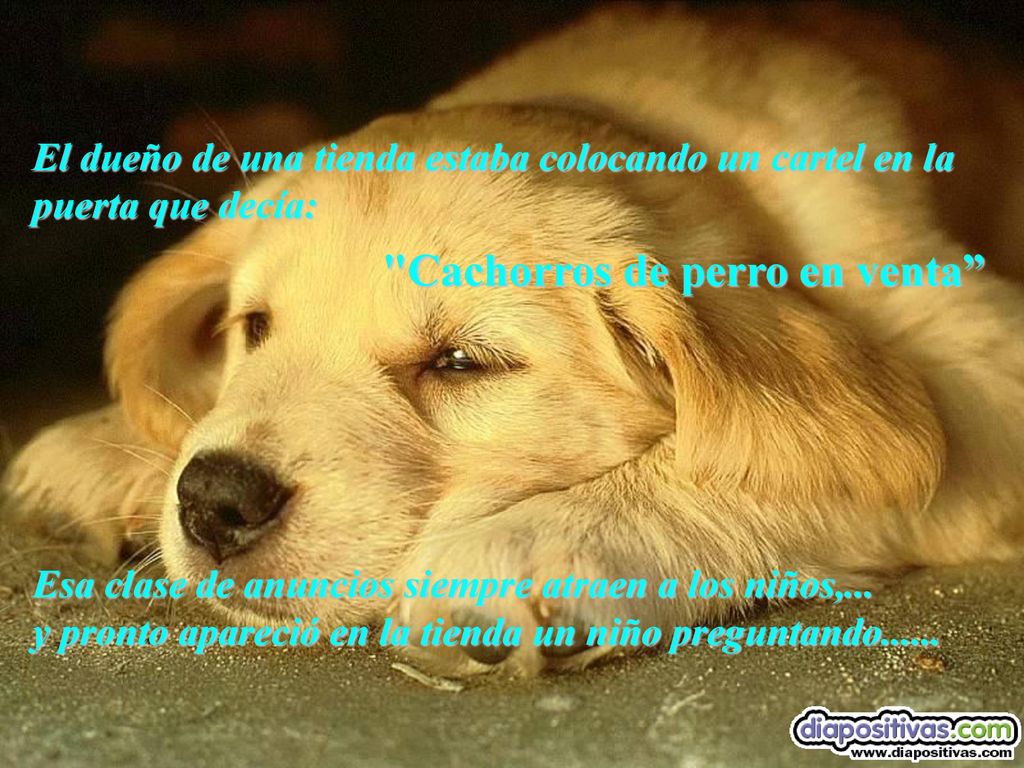 El dueño de una tienda estaba colocando un cartel en la puerta que decía: