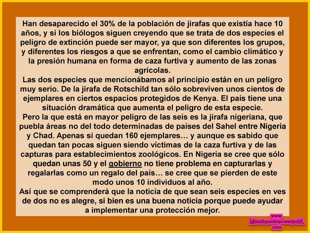 Han desaparecido el 30% de la población de jirafas que existía hace 10 años, y si los biólogos siguen creyendo que se trata de dos especies el peligro de extinción puede ser mayor, ya que son diferentes los grupos, y diferentes los riesgos a que se enfrentan, como el cambio climático y la presión humana en forma de caza furtiva y aumento de las zonas agrícolas.